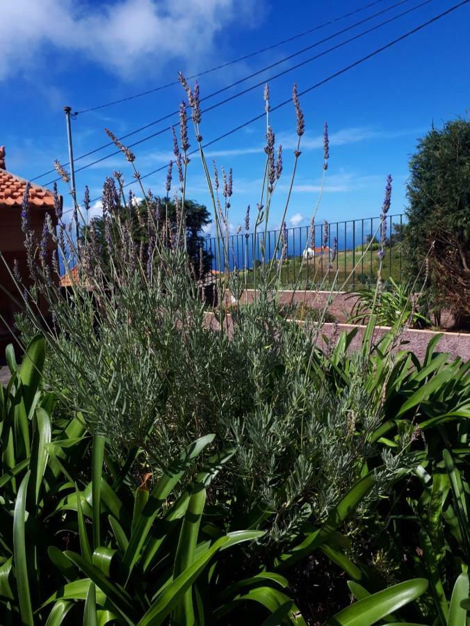 Casa Benedita ปอนตา ดู ปาร์โก ภายนอก รูปภาพ